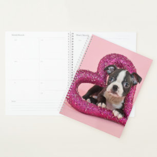 Getty Images   Welpe Liebe Planer