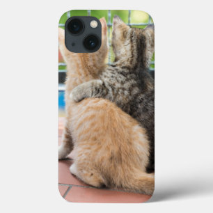 Getty Images Zwei Kätzchen auf einem Balkon Case-Mate iPhone Hülle