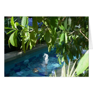 Gewächshaus-Blumen fünf