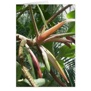 Gewächshaus-Blumen neun