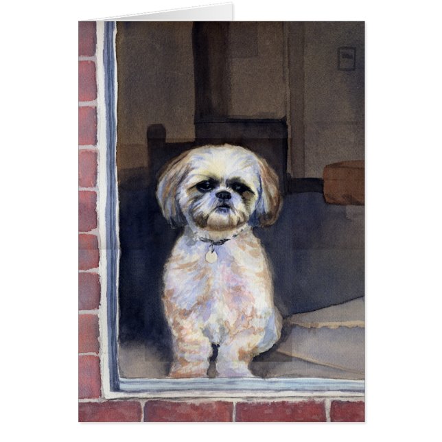 Gewartet.... (Vorne)