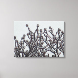 Gewartet für den Frühling — Hundsholzbaum in Eis Leinwanddruck