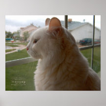 Gewartet für mein menschliches