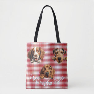 Gewartet für Santa Dogs