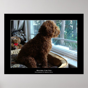 "Gewartet für Sie" Poster
