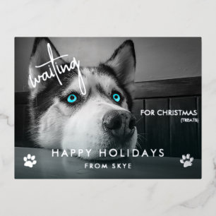 Gewartet für Weihnachten Leckereien Custom Dog Fot Folien Feiertagspostkarte