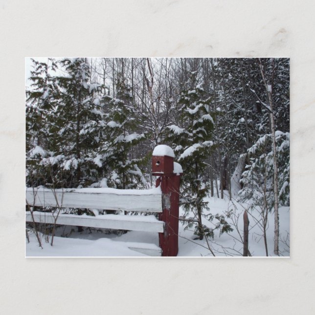 Gewartet für Weihnachtsbaum Feiertagspostkarte (Vorderseite)