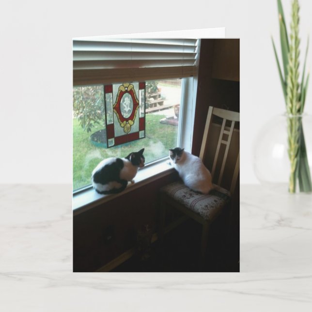 Gewartet Katzen Karte (Vorderseite)
