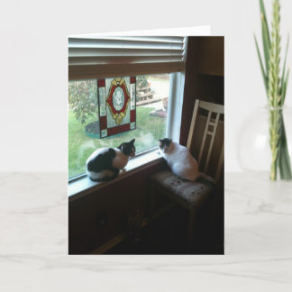 Gewartet Katzen Karte