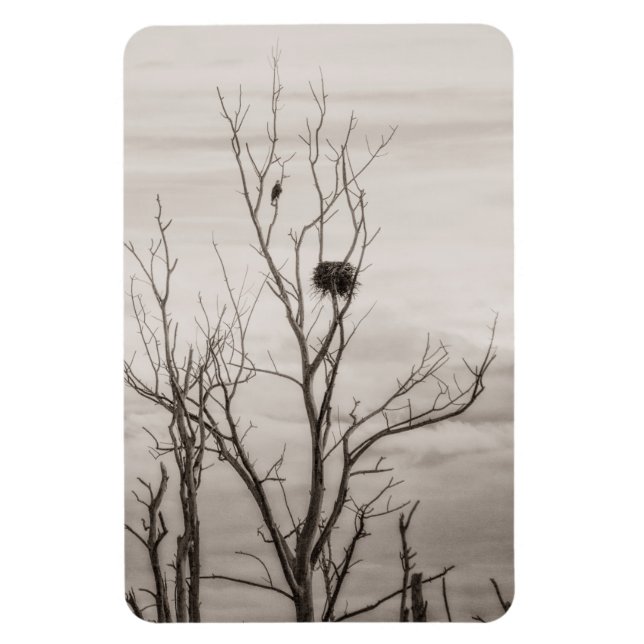 Gewartet Magnet (Vertikal)