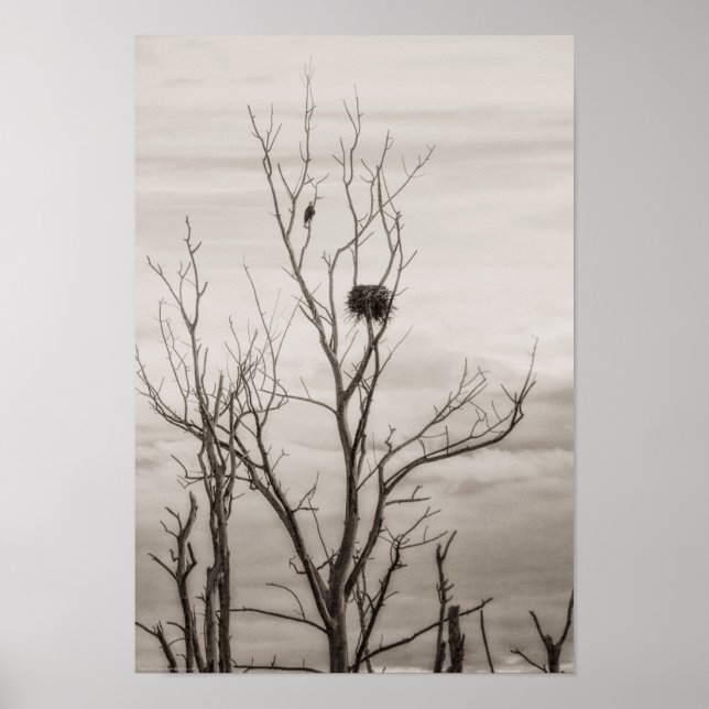 Gewartet Poster (Vorne)