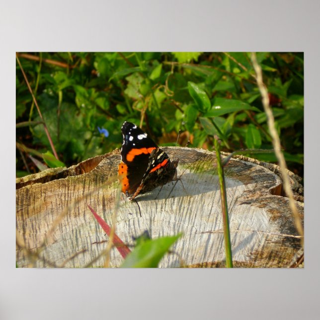 Gewartet Poster (Vorne)