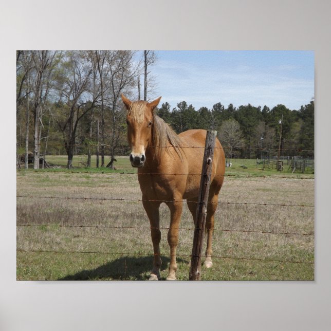 Gewartet Poster (Vorne)