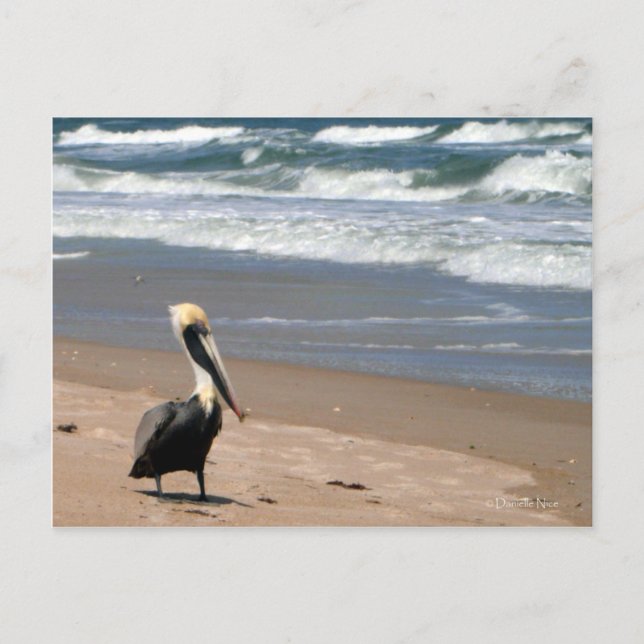 Gewartet Postkarte (Vorderseite)