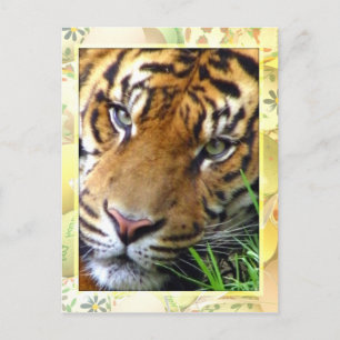 Gewartet/Vermisst Sie_ Postkarte