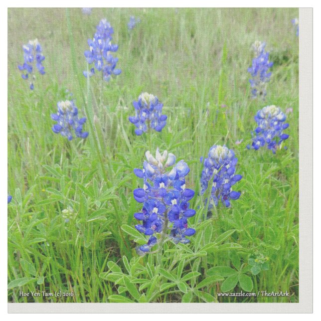 Gewebe - blaue Mützen Stoff (Nahaufnahme)
