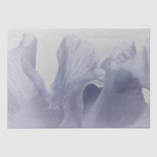 Gewebe. Papier (2) Set Soft Iris Petals in Lila