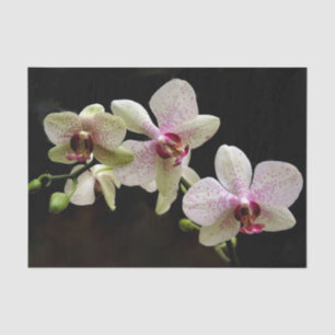 Gewebepapier für tropische Blume Seidenpapier