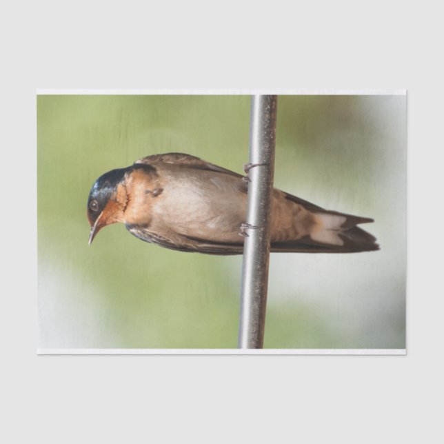 Gewebepapier mit dem Bild der Schlucht Seidenpapier (Vorderseite)