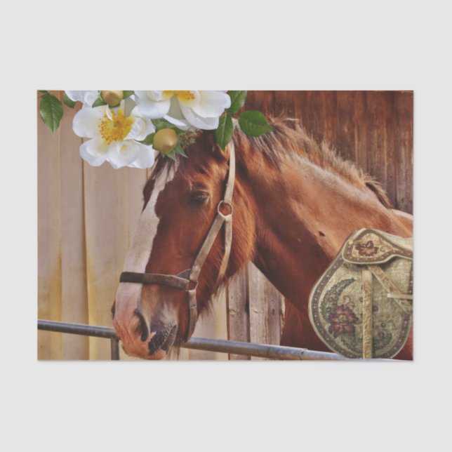 Gewebepapier Pferdeblume Seidenpapier (Vorderseite)