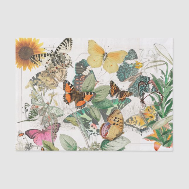 Gewebepapier Schmetterling Sonnenblume Seidenpapier (Vorderseite)