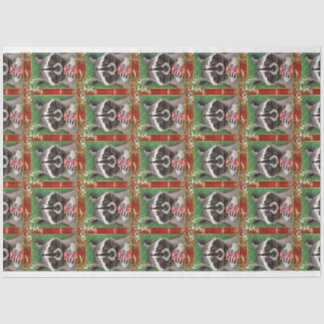 Gewebepapier Seidenpapier