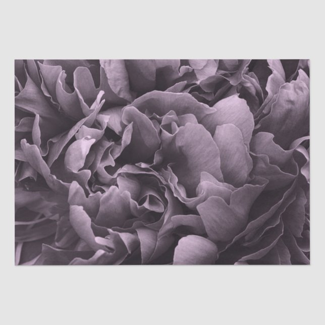 Gewebepapier Set 2 Lila Peony Petals Seidenpapier (Vorderseite)