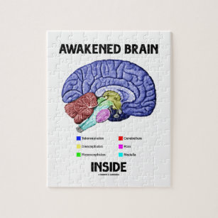 Gewecktes Gehirn-Innere (Gehirn-Anatomie) Puzzle