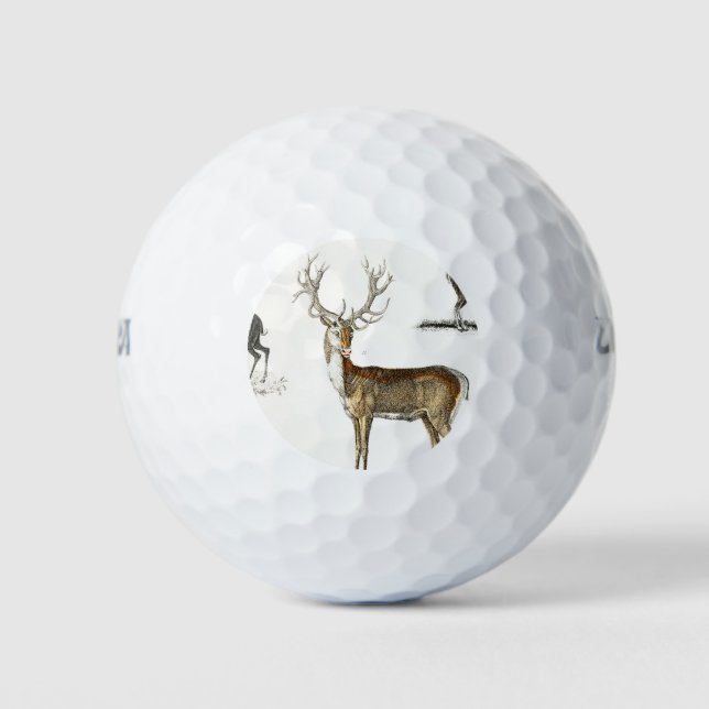 Geweihe, Hirsche, Natur, Jagd, Tiere, Schafe, wild Golfball (Vorderseite)