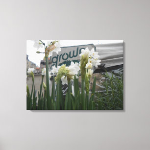 Gewerkschaft Square, New York City, USA Leinwanddruck