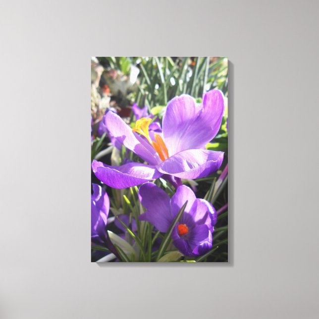 Gewerkschaft Square, New York City, USA Leinwanddruck (Vorderseite)