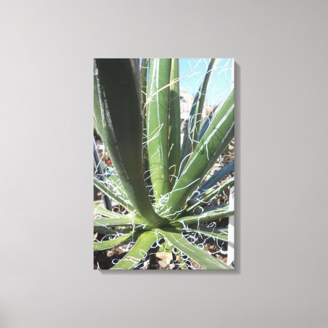 Gewerkschaft Square, New York City, USA Leinwanddruck (Vorderseite)