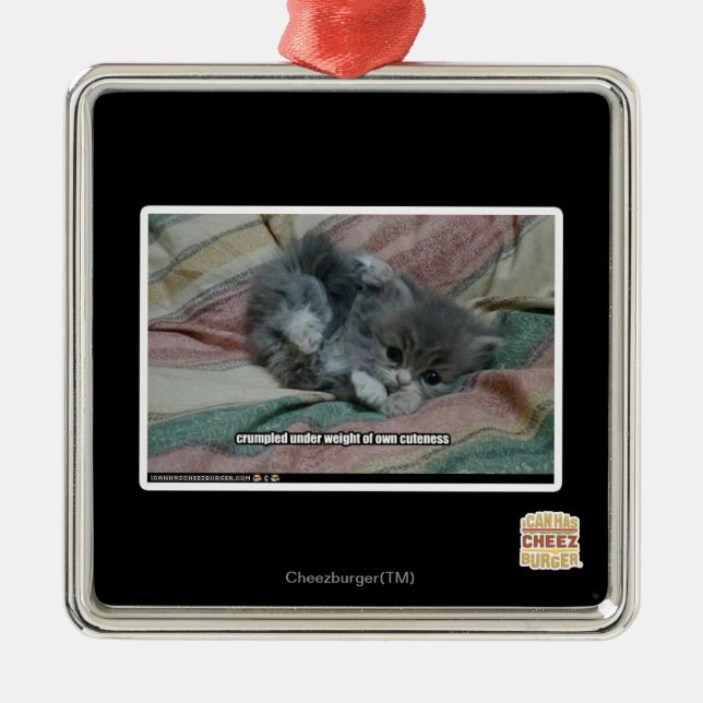 Gewicht eigener Niedlichkeit Silbernes Ornament (Vorne)