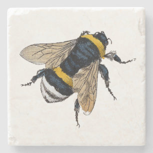 Gewinkelte Hummel Steinuntersetzer