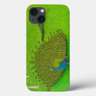 Gewinnende Weisen 2012 Case-Mate iPhone Hülle