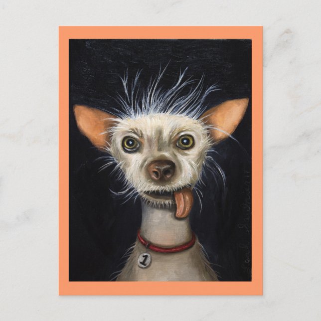 Gewinner des Ugly Dog Contests 2011 Postkarte (Vorderseite)