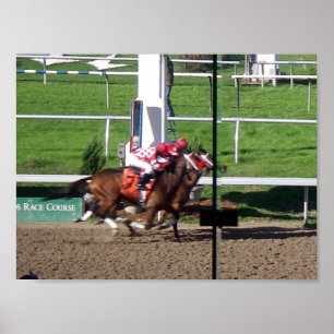 Gewinner durch ein Nose-Poster Poster