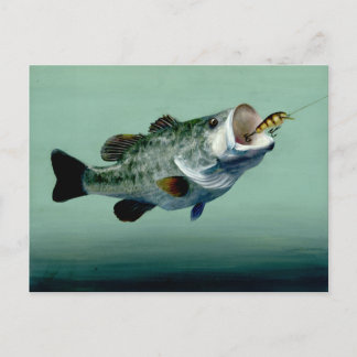 Gewinner Kunst von C. Clayton - Stufe 10 Postkarte