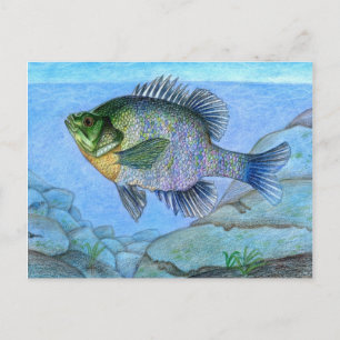 Gewinner-Kunstwerk von L. Luan, Grad 7 Postkarte