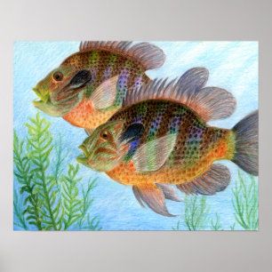 Gewinnerart von E. Jiang - Stufe 6 Poster