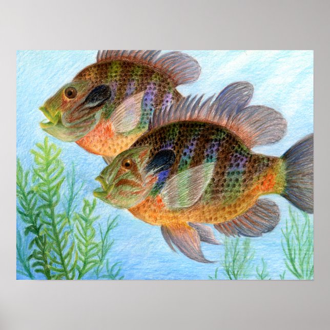 Gewinnerart von E. Jiang - Stufe 6 Poster (Vorne)