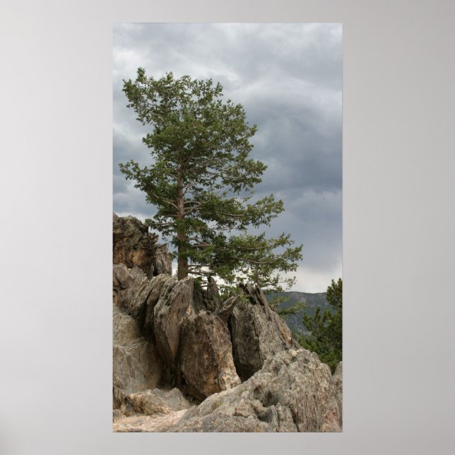 Gewitter Poster (Vorne)