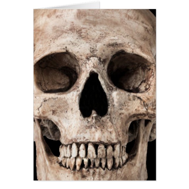 Gewitterter alter Schädel (Vorne)