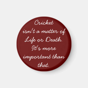 Gewitztes Cricket Magnet für Cricket Fans und Spie