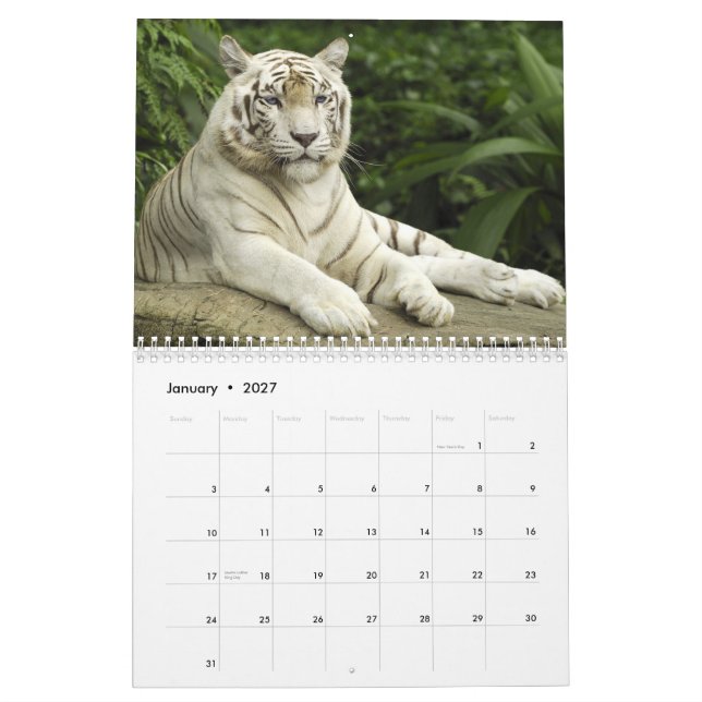 Gewohnheit druckte Kalender-Tiger-Katzen-Tierdruck Kalender (Jan 2027)