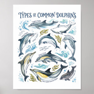 Gewöhnliche Delfine Aquarell-Ozean-Wildlife-Kunst Poster