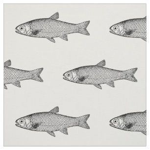 Gewöhnliche Fische, Farbhintergrundwahl Stoff