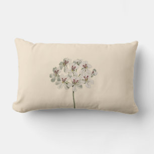 "Gewöhnliche Geranie" Botanische Illustration Flor Lendenkissen