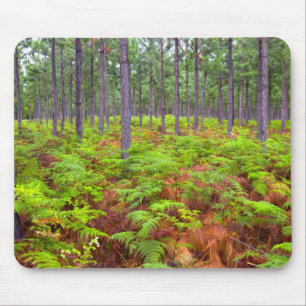 Gewöhnlicher Adlerfarn (Pteridium Aquilinum) wächs Mousepad