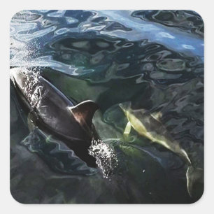 Gewöhnlicher Delfin Mutter und Baby Ozean Wildtier Quadratischer Aufkleber